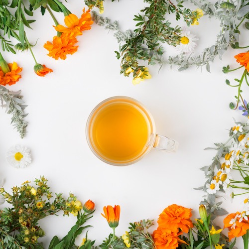 Phytothérapie Pharmacie de l'Aurore à Jonquières